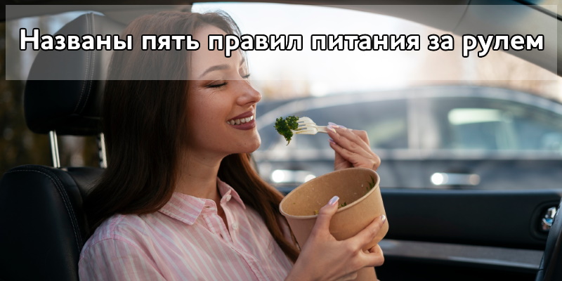 Названы пять правил питания за рулем